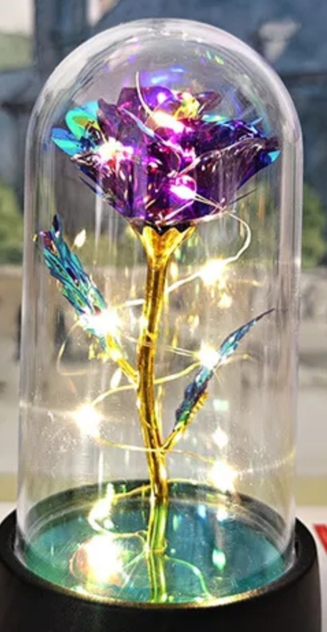 Purple LED Preserved Flower Gift