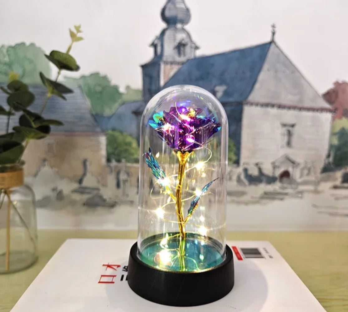 Purple LED Preserved Flower Gift