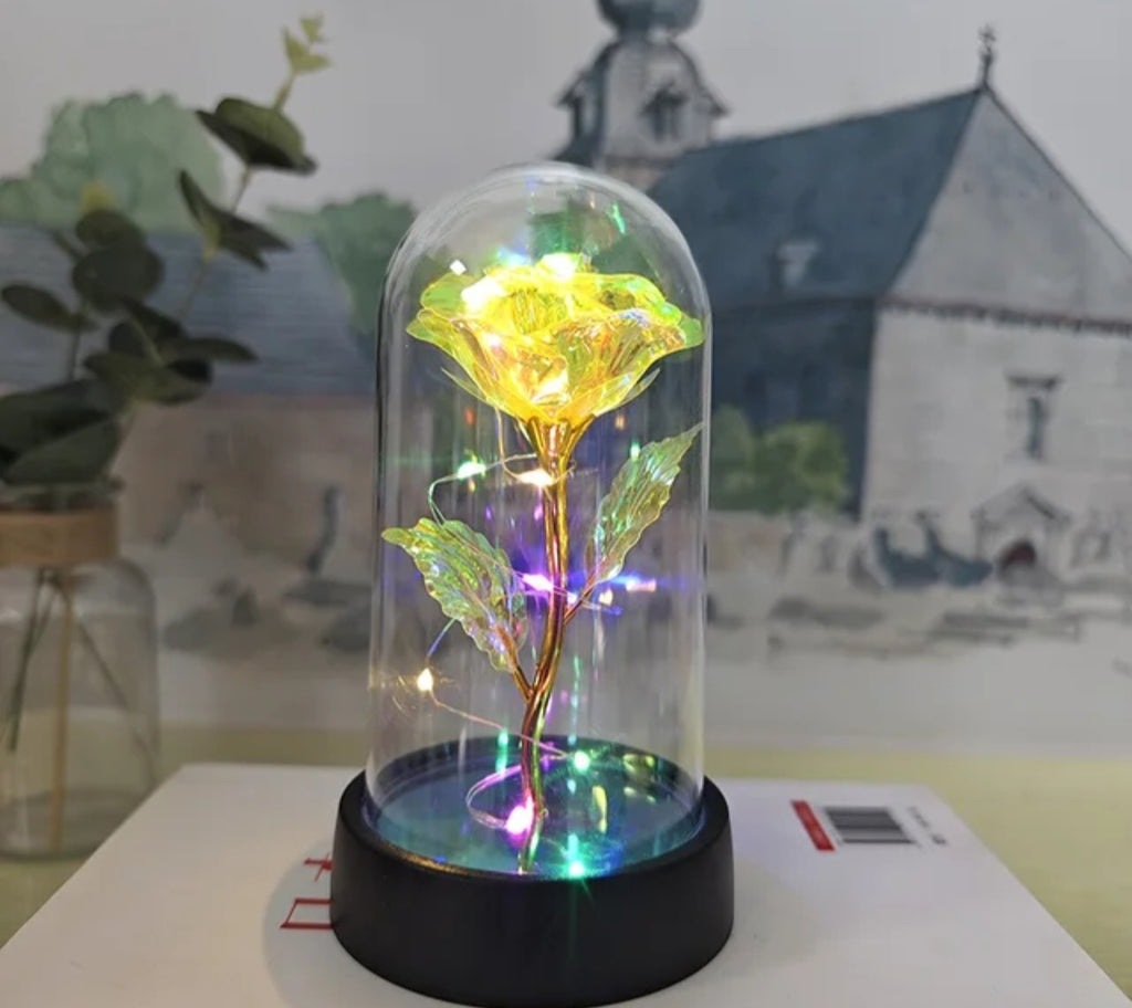 Yellow LED Preserved Flower Gift