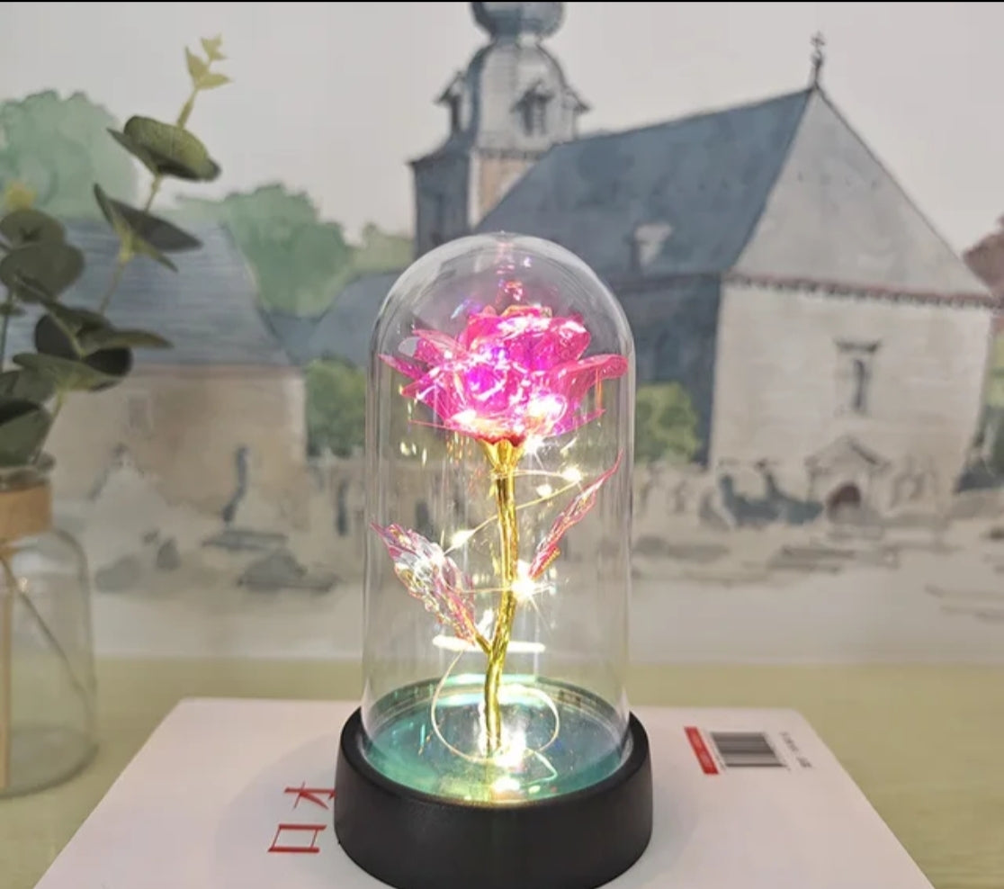Pink LED Preserved Flower Gift