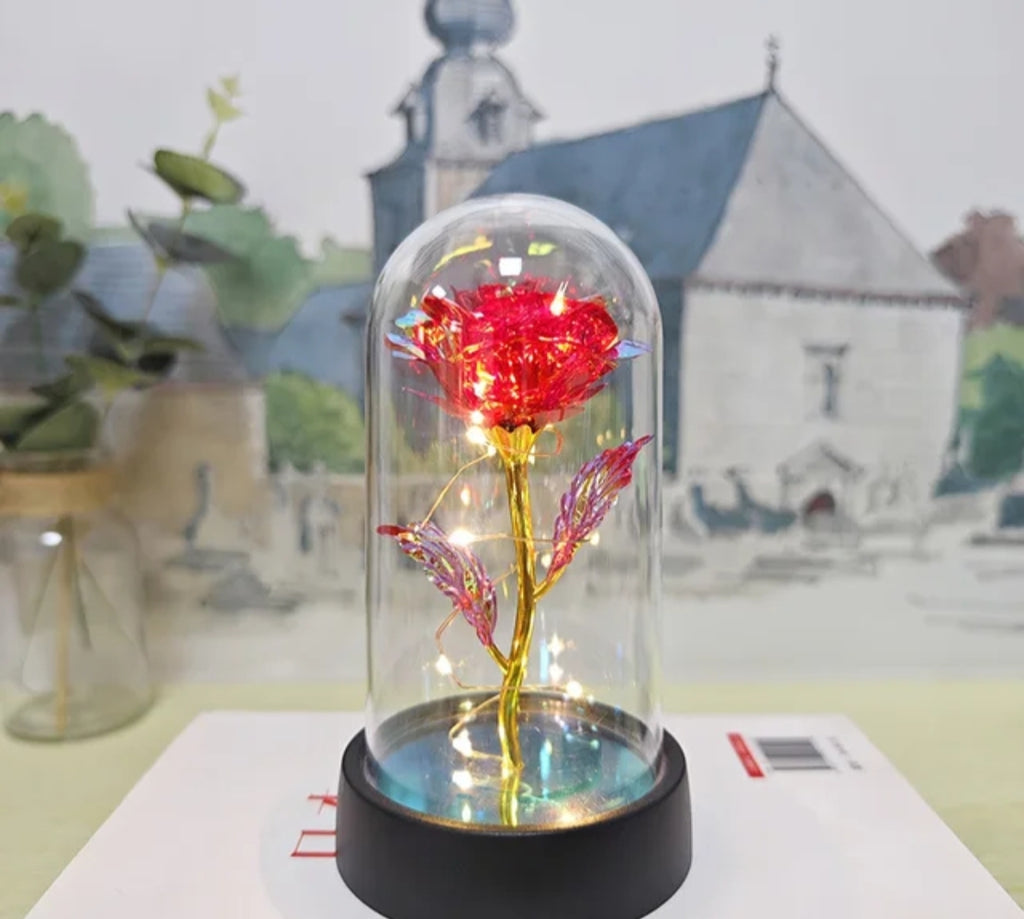Eternal Rose LED Dome - A Gift That Lasts Forever