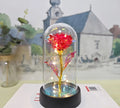 Eternal Rose LED Dome - A Gift That Lasts Forever