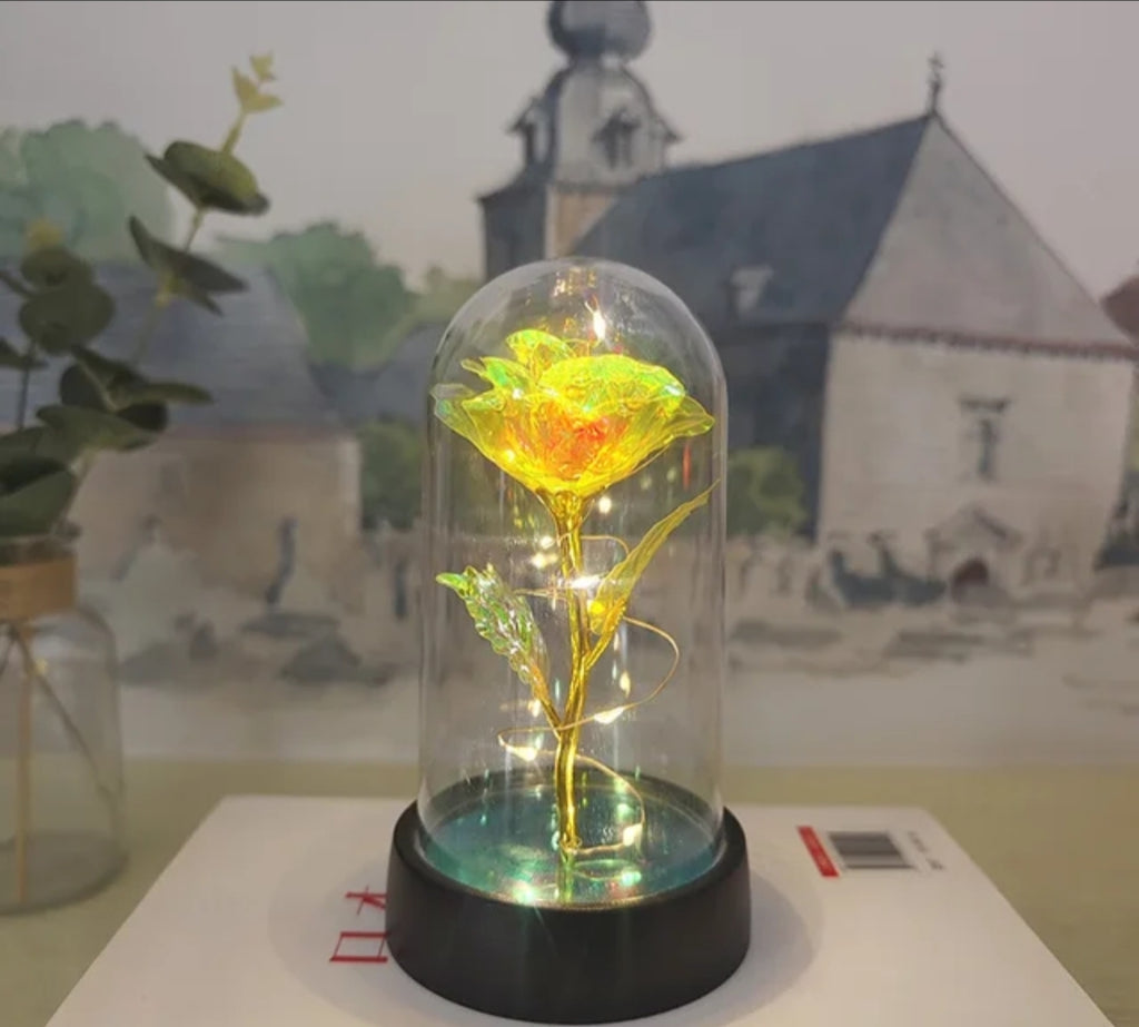 Yellow LED Preserved Flower Gift
